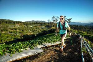 BIB: 
                            <button type="button" onclick="openModal(19110428)" class="btn btn-primary btn-sm float-right btn-popup" data-toggle="modal" data-target=".modal-high-quality">
                        <i class="fas fa-shopping-cart"></i> Add to Cart
                    </button>
                                            <button type="button" onclick="isThisMe(19110428, true)" class="btn btn-success btn-sm float-right btn-popup btn-isme hidden" data-toggle="tooltip" data-placement="bottom" title="นี่คือรูปของคุณใช่ไหม คลิกที่นี่เพื่อเอาเข้าอัลบั้ม">
                        <i class="fas fa-plus"></i> Add to album
                    </button>
                    <button type="button" onclick="isThisMe(19110428, false)" class="btn btn-warning btn-sm float-right btn-popup btn-isnotme hidden">
                        <i class="fas fa-ban"></i> Remove from album
                    </button>